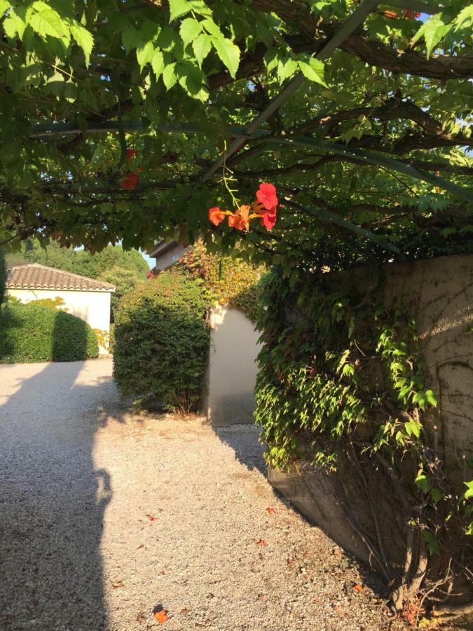 Villa Le Mazet de Lola à Saint-Rémy-de-Provence Extérieur photo